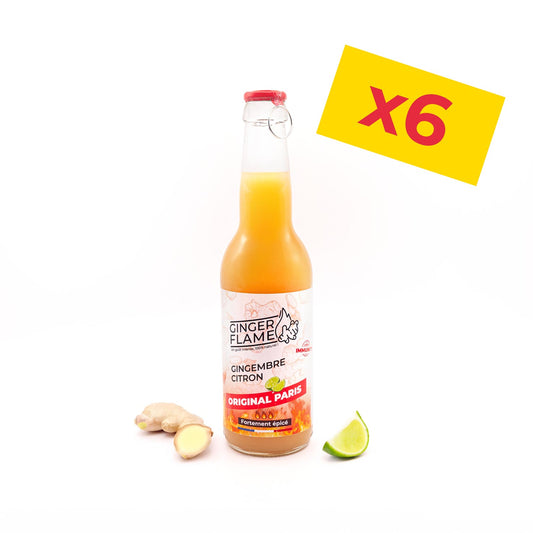 GINGERFLAME ORIGINAL PACK DE 6x33cl 🔥🔥🔥